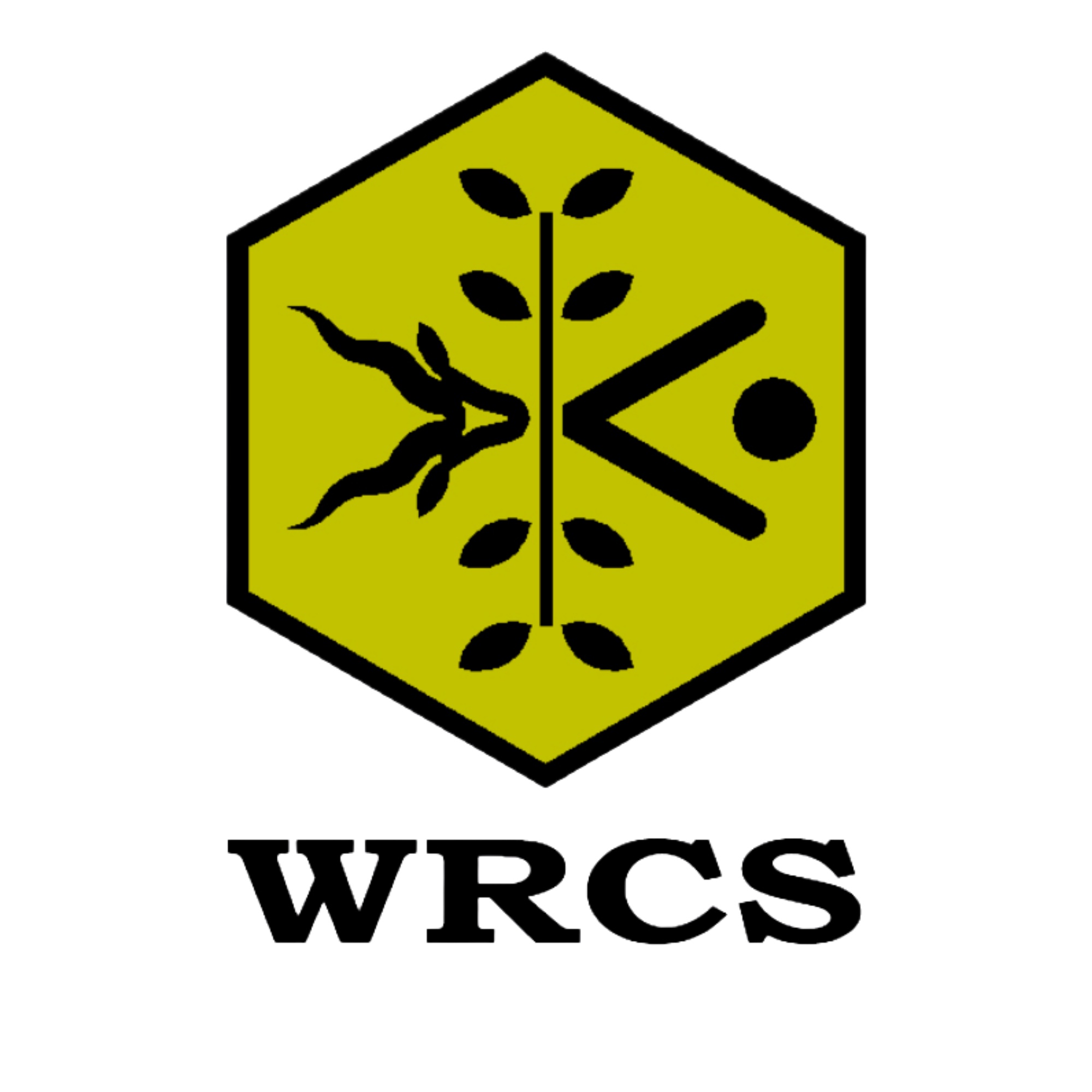 Logo 13